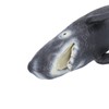 Realistic Sperm Whale Replica Simulated Marine Animal Model Educational Collector