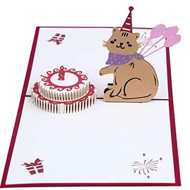 HonourHope Cat Pet 3D Pop Up Birthday Greeting Card with Envelope
