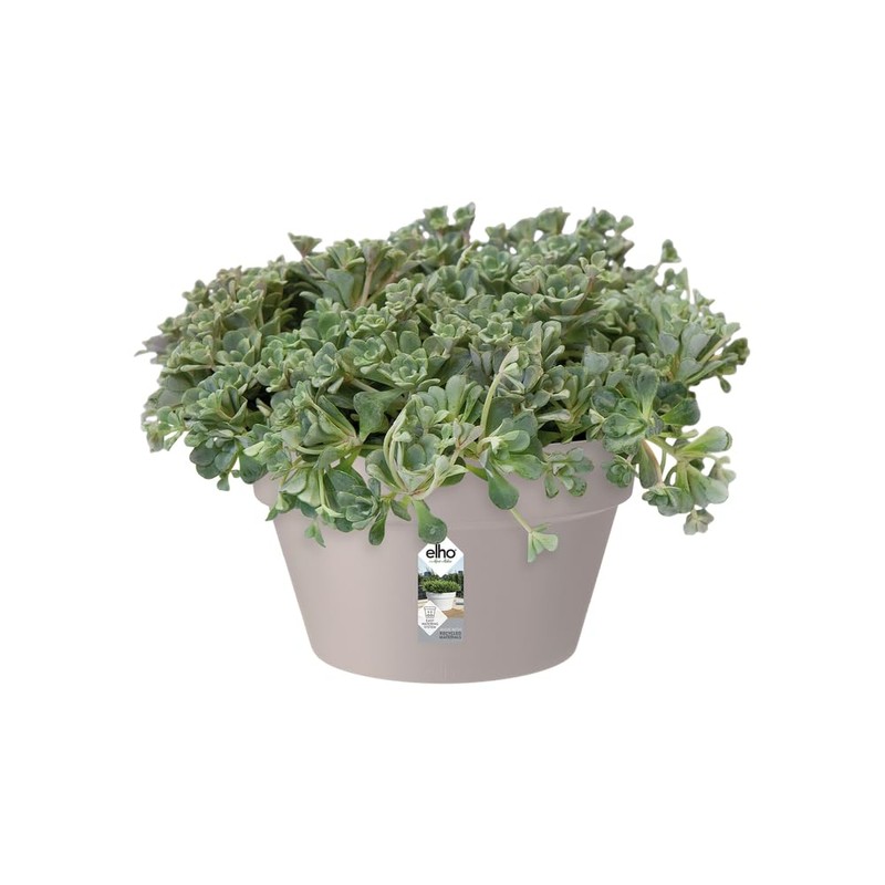 elho Loft Urban Bowl 35 - Flower Pot for Outdoor