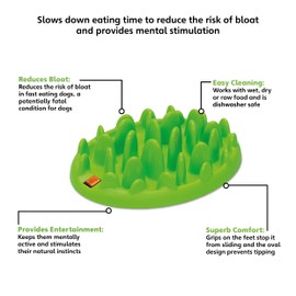 GREEN Interactive Feeder, Large