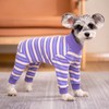 Dog Striped Recovery Suit, Puppy After Surgery Onesie for Female