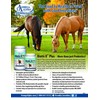 Omega Alpha Biotic 8 2.2lbs for horses