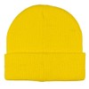 AI ACCESSORY INNOVATIONS Looney Tunes Tweety Bird Cuff Beanie, Jacquad