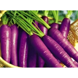 Seeds Cosmic Purple Carrot Seeds  200+ Seeds  NON-GMO  BUY 4 GET FREE SHIPPING