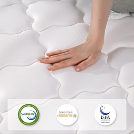 REGOSS Twin Mattress, 10 inch Hybrid Twin Mattress with Bonnell Coil, High Density Foam Mattresses in A Box, Medium Soft for Pressure Relief