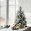 Puleo International Pre-Lit 2' Table Top Artificial Christmas Tree with