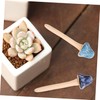 CAXUSD Tiny Mushroom Figurines in Ceramic 6pcs Garden Miniature Adornment