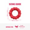 KONG Ring - Natural Rubber Ring Toy for Healthy Chewing