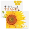 Current Cheerful Thank You Note Card Value Pack - Set