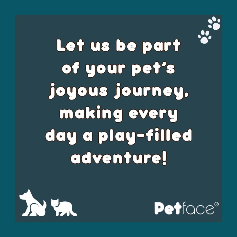 Petface Retro Mobile Latex Dog Toy