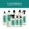 Caldrea Hand Soap Refill, Aloe Vera Gel, Olive Oil And
