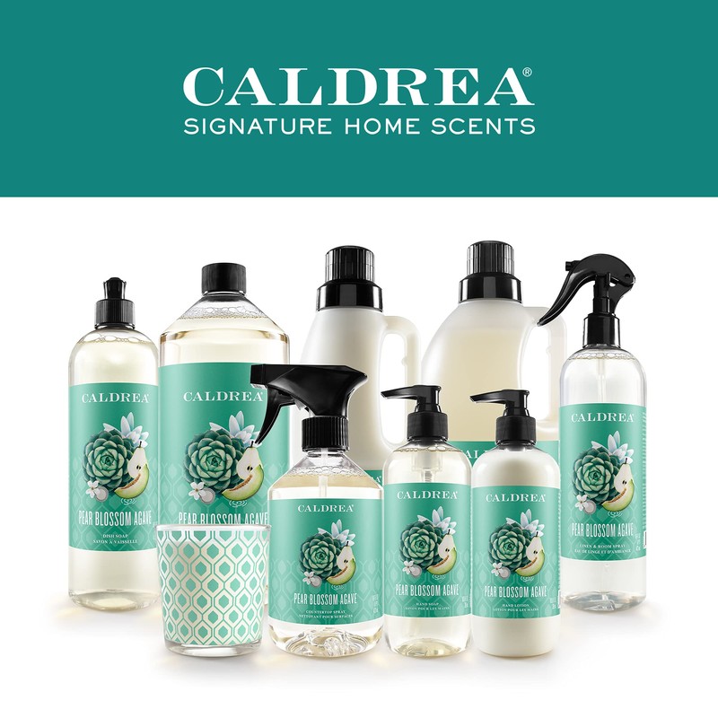 Caldrea Hand Soap Refill, Aloe Vera Gel, Olive Oil And