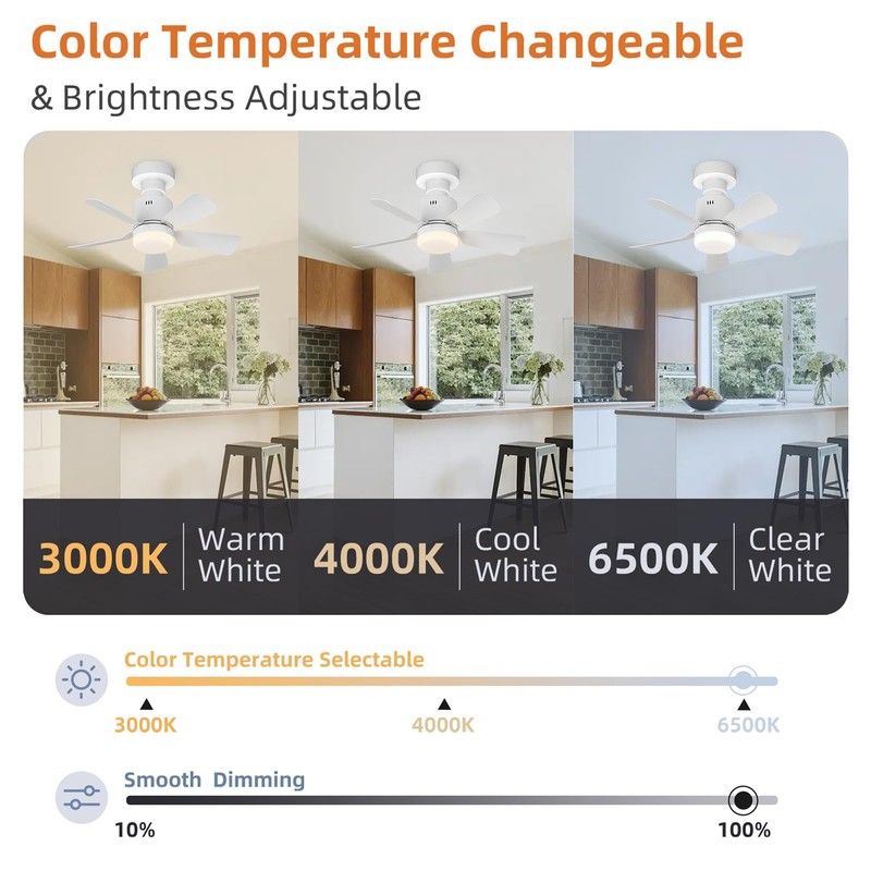 GEADI Screw in Ceiling Fan Light, Dimmable LED Ceiling Lamp