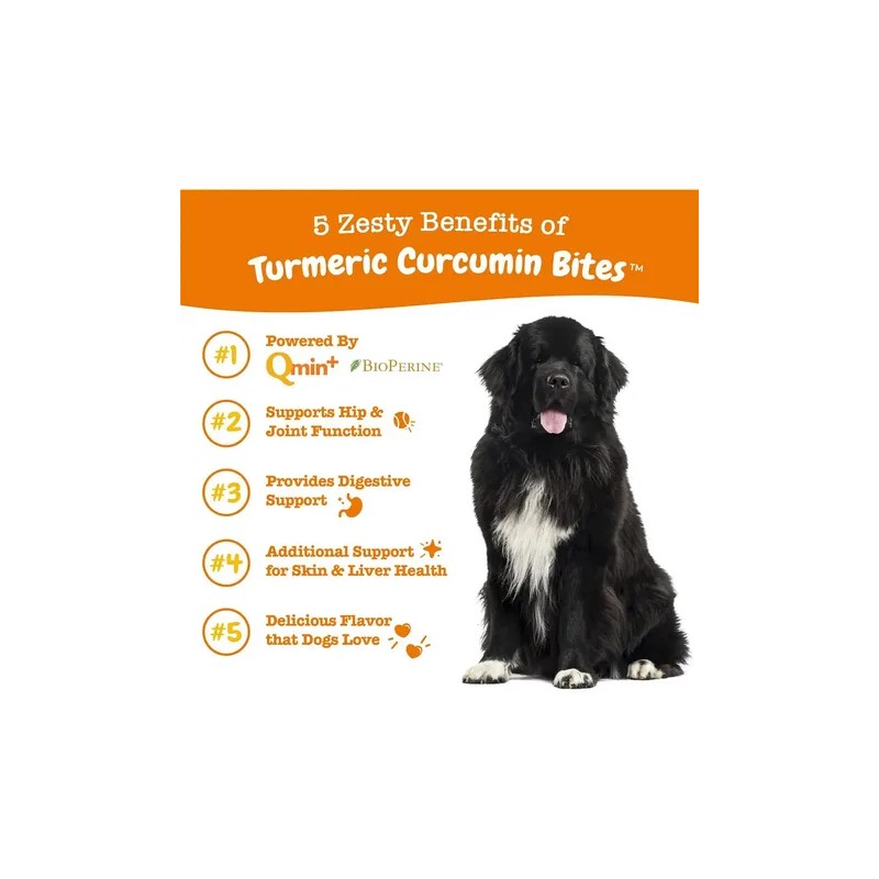 Zesty Paws Curcumina Cúrcuma Gomitas Salud Articular Perros 90 Unidades