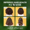 Herbal Essences Champú sin sulfato con miel para hidratación diaria,