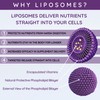 WELL ACTUALLY Advanced Immune Support & Elderberry - Liquid Liposomal