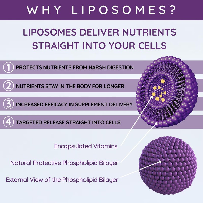 WELL ACTUALLY Advanced Immune Support & Elderberry - Liquid Liposomal
