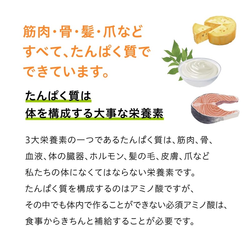 森下仁丹 プロテイン 大人のプロテイン 約15日 〜30日分 (300g) [ たんぱく質 食物繊維 ミネラル