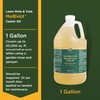 Baar Products - MolEvict Lawn Mole Castor Oil - Lawn