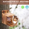 MIXXIDEA 2 PK Wooden Squirrel Feeder Box, Sturdy Squirrel Feeding