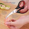 Nantucket Stainless Steel Seafood Scissors and Cracker For Lobsters, Crab,