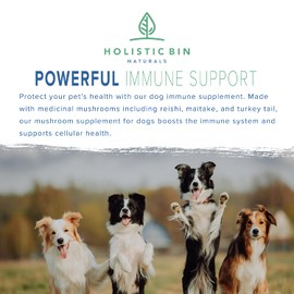 Canine Super Immune by Holistic Bin | Human Grade Beet, Chlorella, & Medicinal Mushroom Blend w/ Reishi, Maitake, & Turkey Tail Mushroom for Dogs | Powdered Dog Immune Booster (100g)