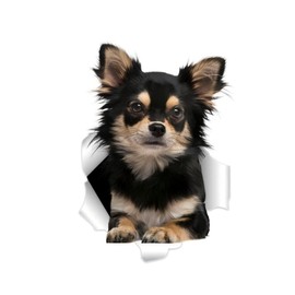 Chihuahua Auto-Aufkleber, Schwarzer Chihuahua 3D Durchbruch-Effekt, Wasserfester Vinyl-Aufkleber für Auto, Laptop, Kühlschrank, Stoßstange, Fenster (25cm/9.8 Inch)