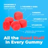 DR. MORITZ Ashwagandha Gummies for Calm, Relaxation, and Immune Support