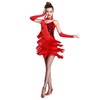 Z&X Women's Salsa Latin Dance Dress Sequin Fringe Strap Party