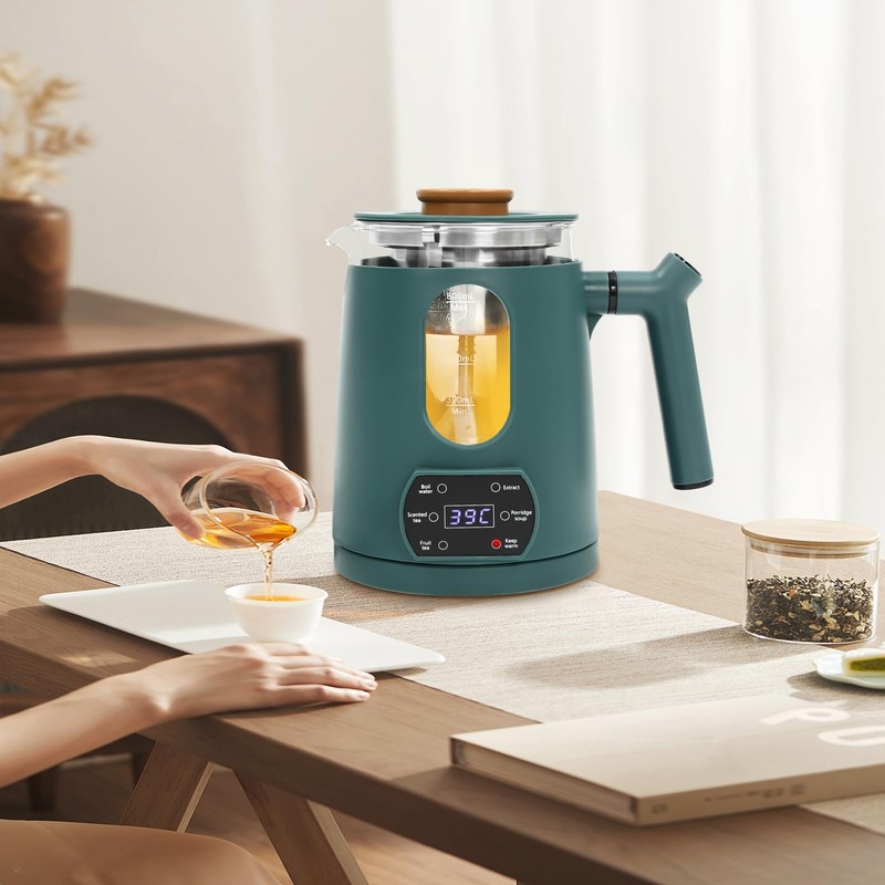 Electric Tea Kettle with Tea Infuser Temperature Control Hot Tea