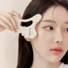 Biaecom 바이애콤 페이스 괄사 케어 키트 Biacon Face Gua Sha