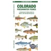 Colorado Freshwater Fishes: A Folding Guide to Native and Introduced