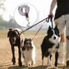 Luckious Training Lead Long Line Leash for Dog for Recall/Obedience