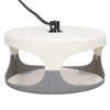 Flea Trap Good Stickiness Safe Ingredients Odorless Indoor Pest Control