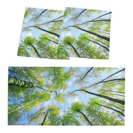 Fluorescent Light Covers - Magnetic & Filters for Classroom, Office Drop Ceiling Lights, 4x2Feet - Spring Forest