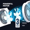 Nexair 9" Twin Window fan with Remote Control, 3 Speed