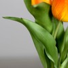 Natural Real Touch Tulip Bunch 32 x 20 cm with
