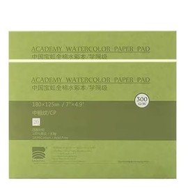 2 Pack Watercolor Paper Block, Academy Grade Watercolor Block, 100% Cotton, Acid-Free, 140LB/300GSM, Cold Press Textured, 20 Sheets per Block (Cold Press 180x125mm)