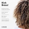 dpHUE Cool Brunette Shampoo