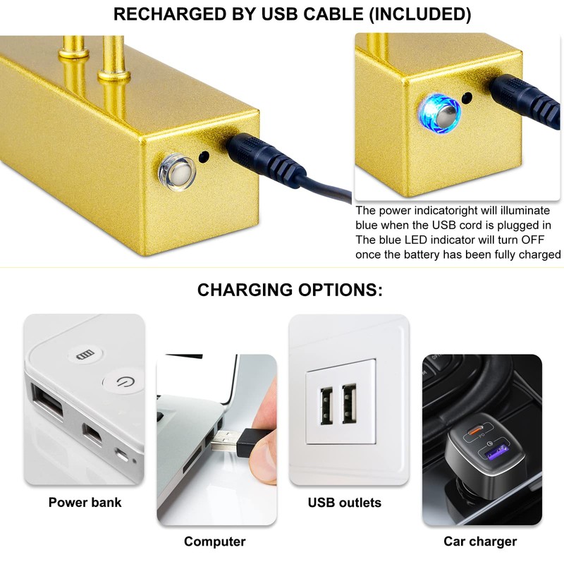 RAIFOOLLY Picture Light,16in Wireless Battery Wall Lighting,Remote Art Lights for