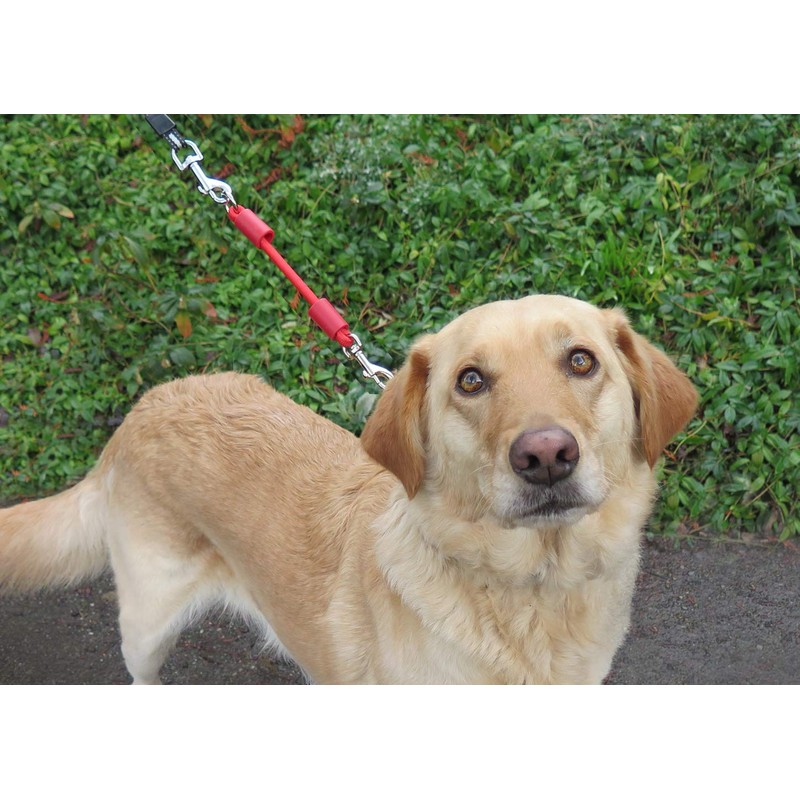 JERK-EASE BUNGEE DOG LEASH EXTENSION – Patented Shock Absorber Attachment