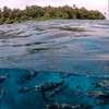 PolarPro - GoPro HERO 9/10/11/12 - Fifty-Fifty Dome - Marine-grade