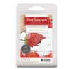 ScentSationals Scented Wax Cubes Value Pack - Strawberries and Cream,