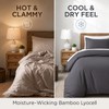 White Bamboo Lyocell Duvet Cover Set, 3-Piece Queen 78.74 x