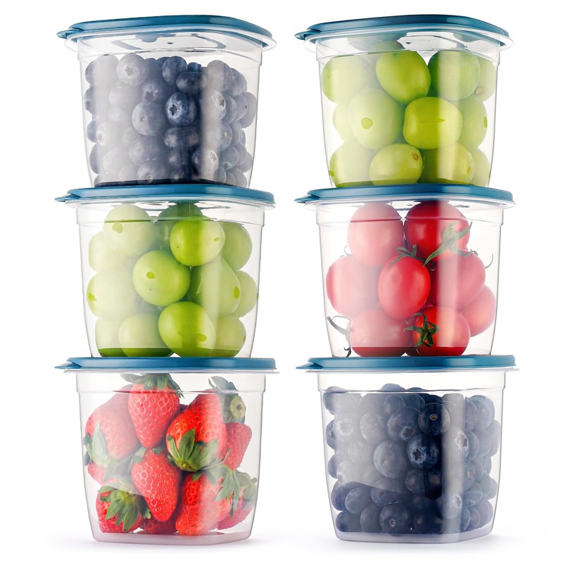 EFISH 10 pieces rectangular plastic portion box sets with lids.