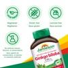 Jamieson Ginkgo Biloba 4,000 mg - Gluten-Free, 90 Count (Pack