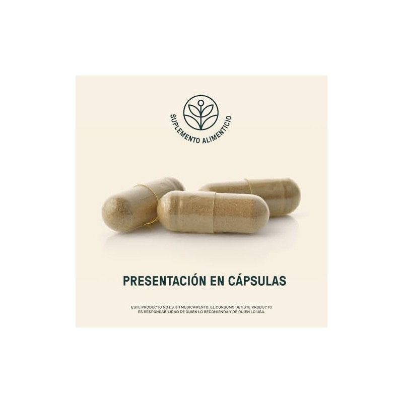 LIFE 360 Probióticos 60 Billones 4 Cepas 240 cápsulas 540mg