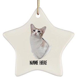 Customized Name Javanese Cat Crack Hole Gifts 2024 Christmas Tree Ornaments Star
