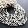 GiftExpress 144pk 33" Metallic Pearl Beaded Necklaces, Bulk Mardi Gras
