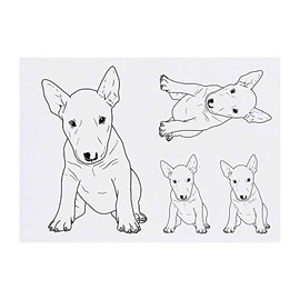 4 x 'English Bull Terrier' Temporary Tattoos - Water Resistant, Skin-Safe, Non-Toxic Transfers, Mixed Sizes (TO00050587)